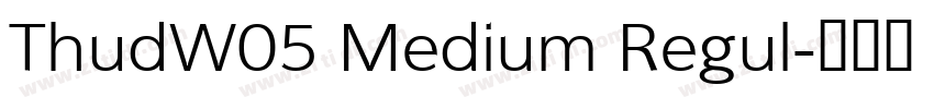 ThudW05 Medium Regul字体转换